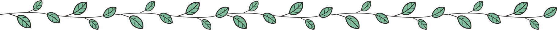 Leaves Border