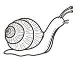 Snail