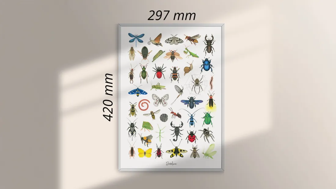 GICLÉE print A3 - ročne risbe žuželk