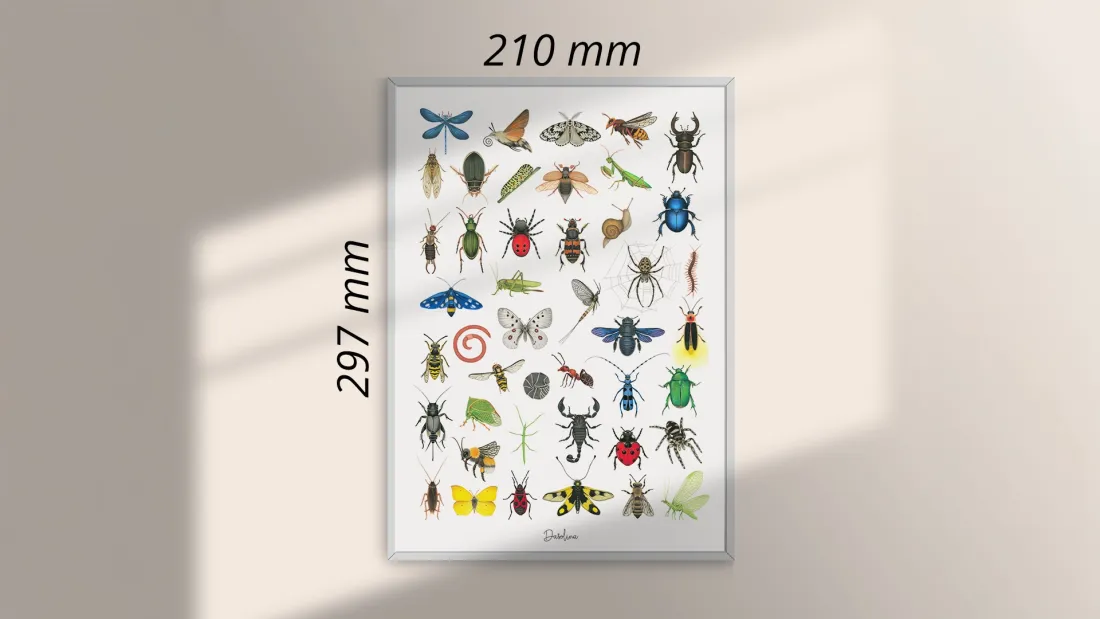 GICLÉE print A4 - ročne risbe žuželk