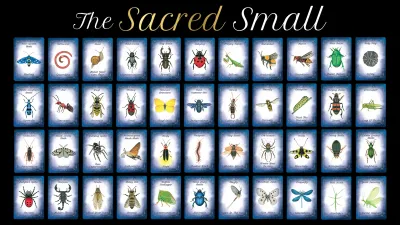 Orakeljske karte The Sacred Small - slika 3