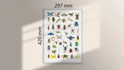 GICLÉE print A3 - ročne risbe žuželk