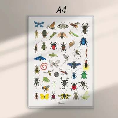 GICLÉE print A4 - ročne risbe žuželk