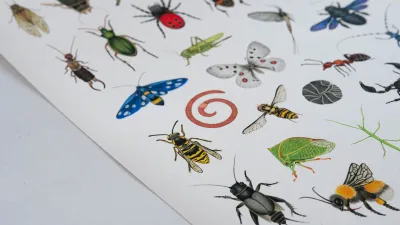 GICLÉE print A3 - ročne risbe žuželk - slika 3
