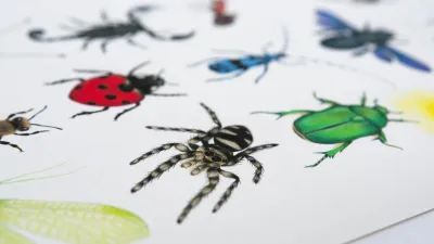 GICLÉE print A3 - ročne risbe žuželk - slika 2